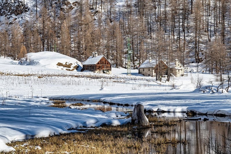 Mystical Cabins