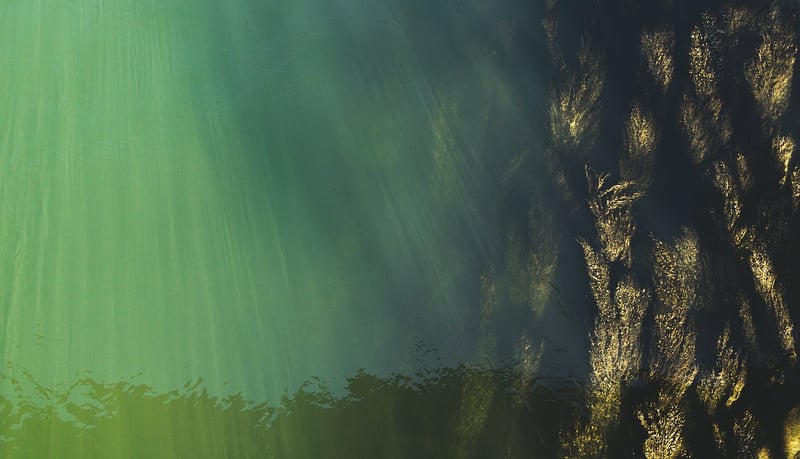 Underwater Odyssey