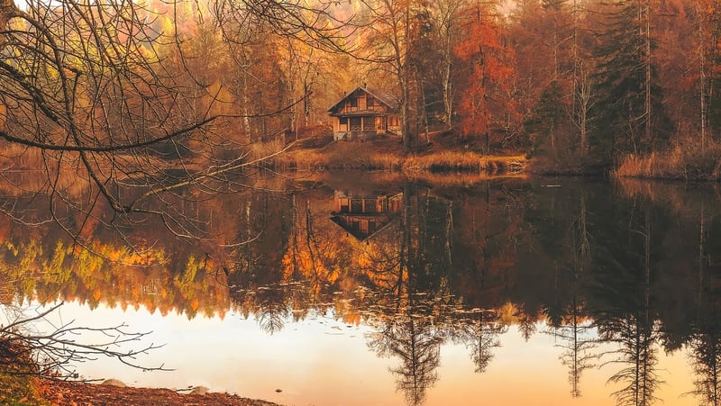 Mystical Cabin in the Woods