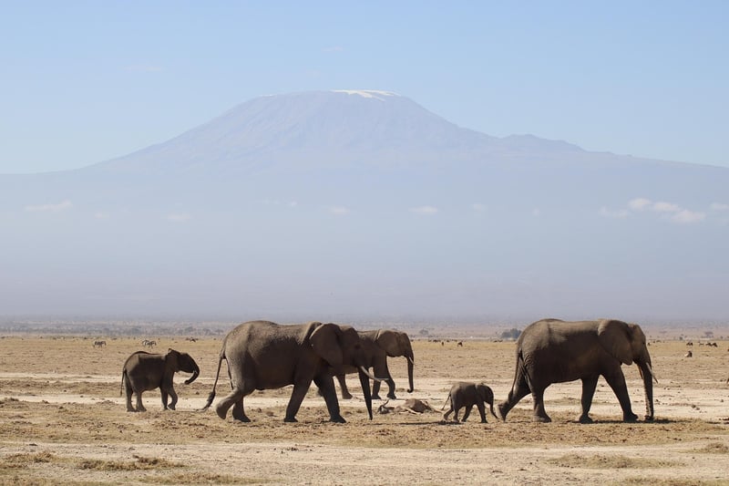 Great Rift Valley, Kenya